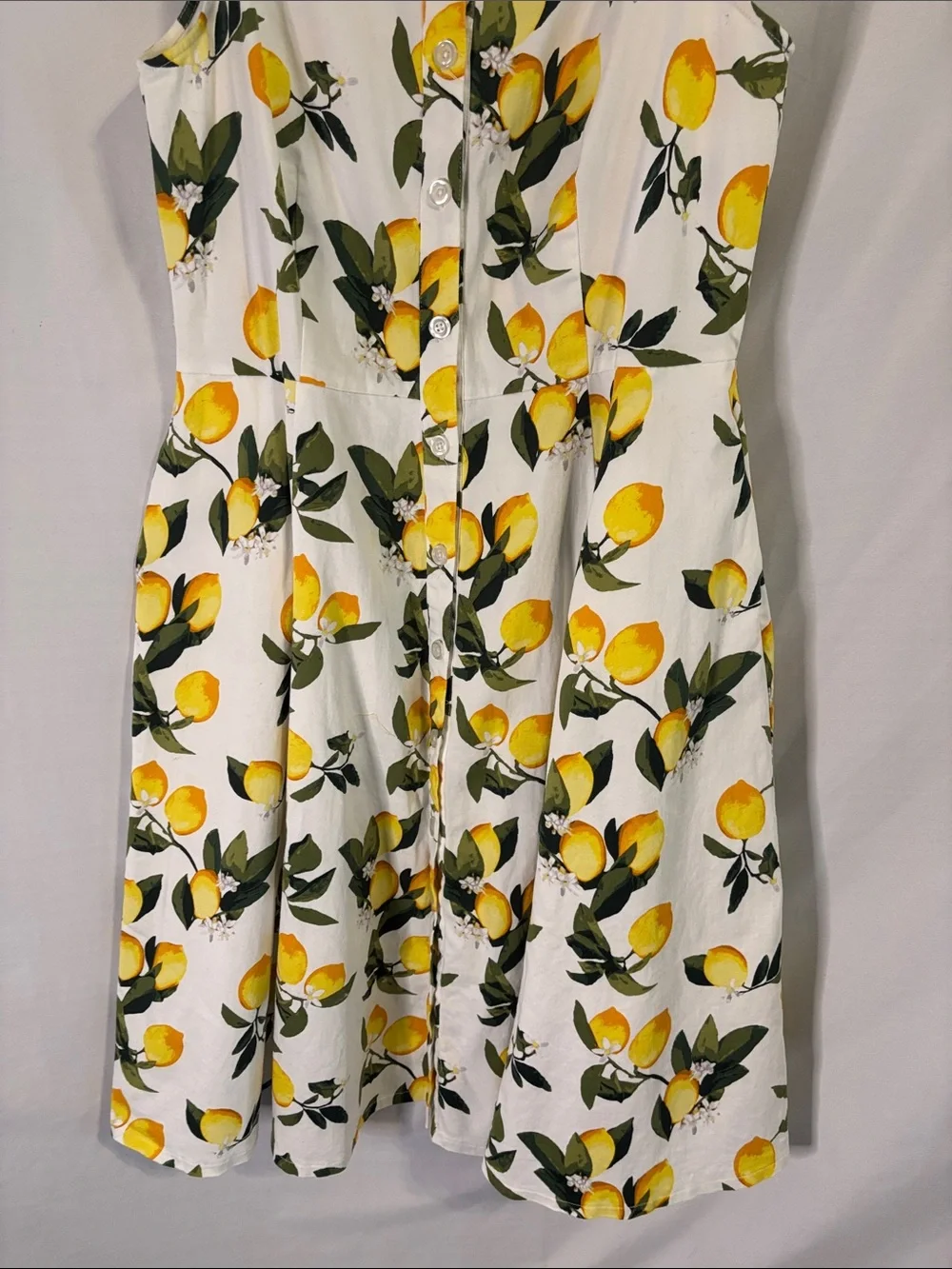 Chetta B Sleeveless Lemon Print Button Down Shirt Dress Size 14 Fit and Flare - Picture 4 of 8